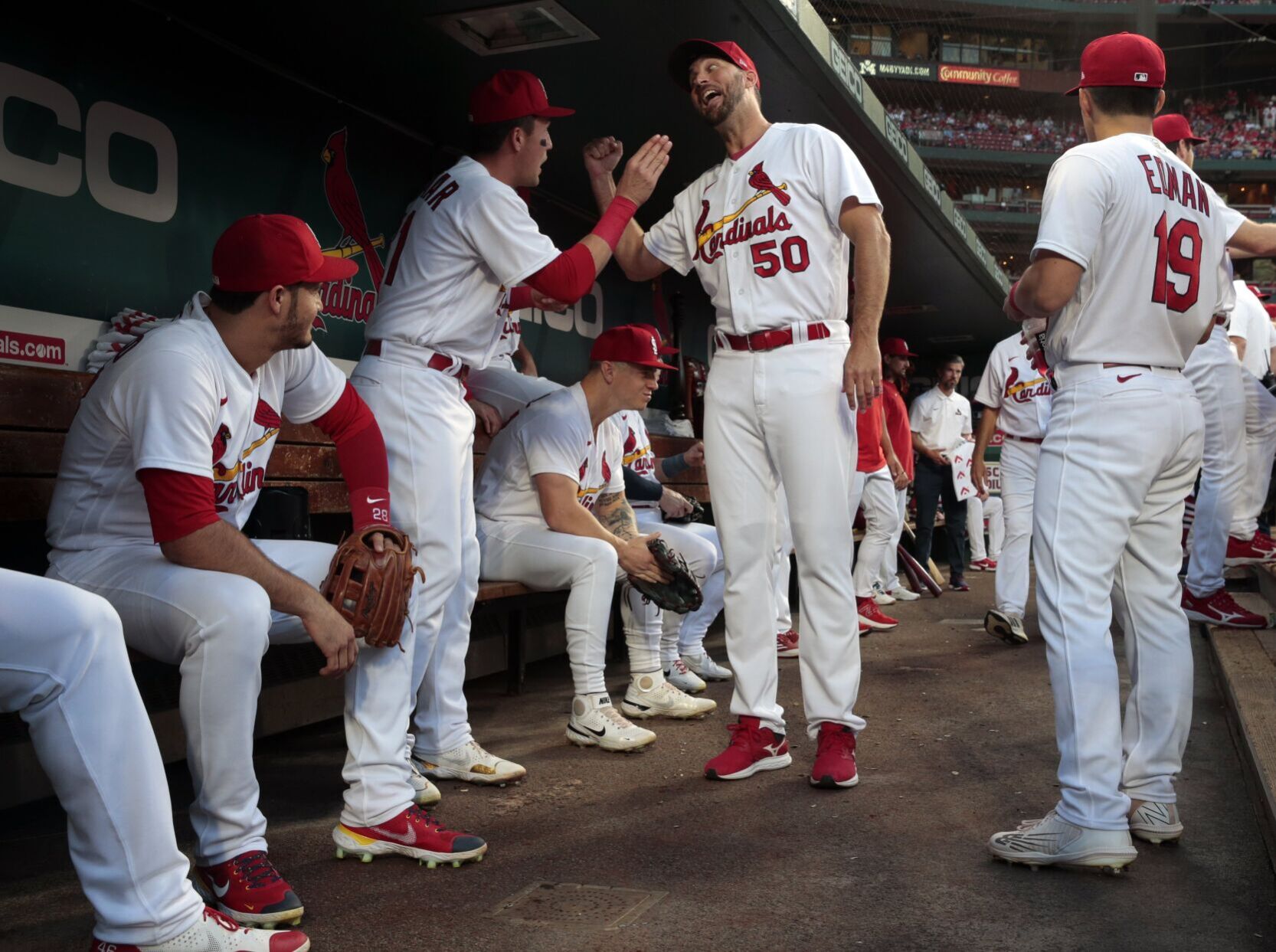 Cardinals, Brewers at Busch